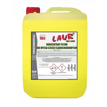 KONCENTRAT PŁYNU DO MYCIA CZĘŚCI SAMOCHODOWYCH - 5L