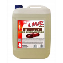HYDROWOSK - WOSK NA MOKRO - 5L