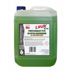 PŁYN DO MYCIA NAGROBKÓW 5L